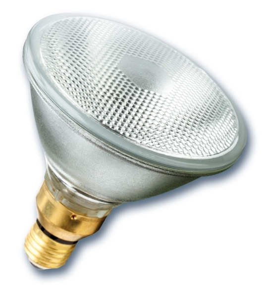 PAR ralighting.co.nz Light Bulb and Lighting Suppliers Auckland